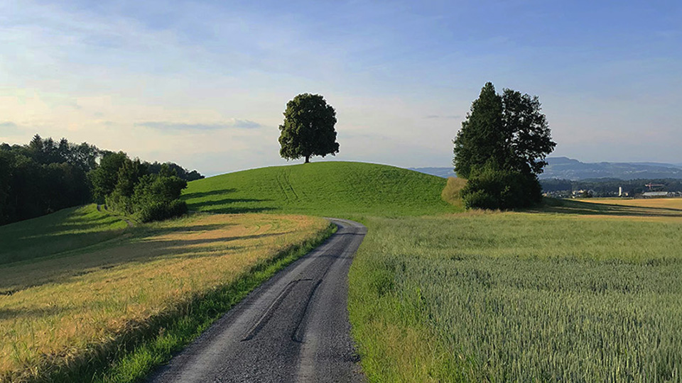 Landskap Skåne Hallandsåsen Landsbyggd Väg Framåt