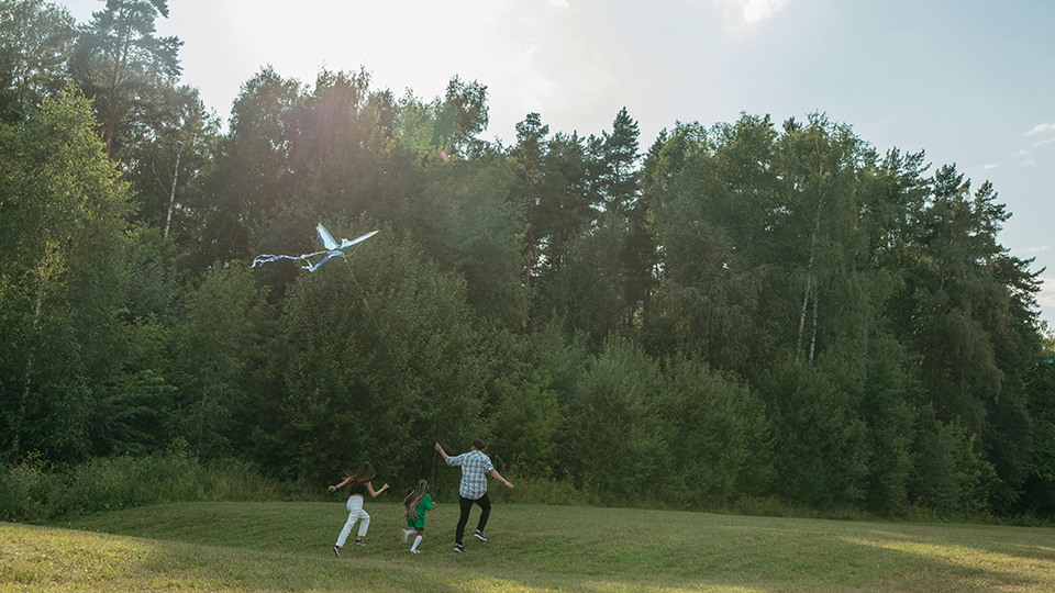 Natur Familj Grönt Miljö Teamwork