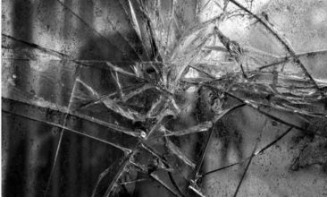 336X220 Staahl Dynamics