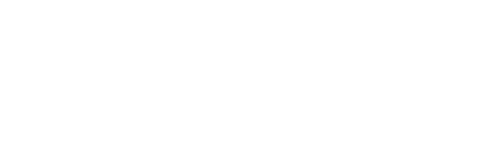 Orbital White Logo