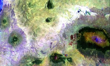 336X220 Sentry Technlogies